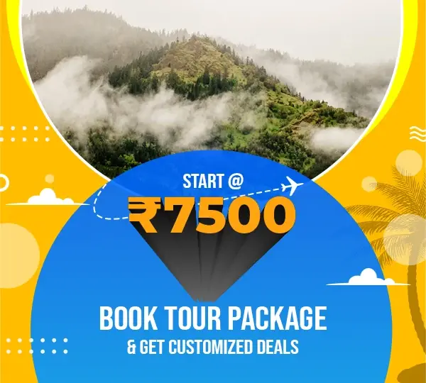 tour packages for ooty from coimbatore