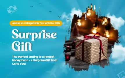 surprise gifts
