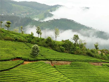 2 days1 night ooty tour packages