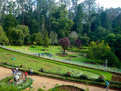 ooty tour packages for 3 days 2 night