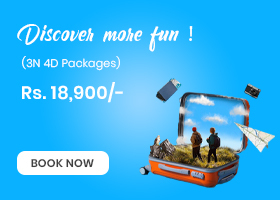 Discover more fun !