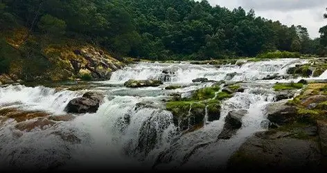 Ooty Tour Packages With Pykara Sightseeing Ooty Tour Package With Pykara Sightseeing