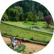Specially Designed Ooty Tour Packages